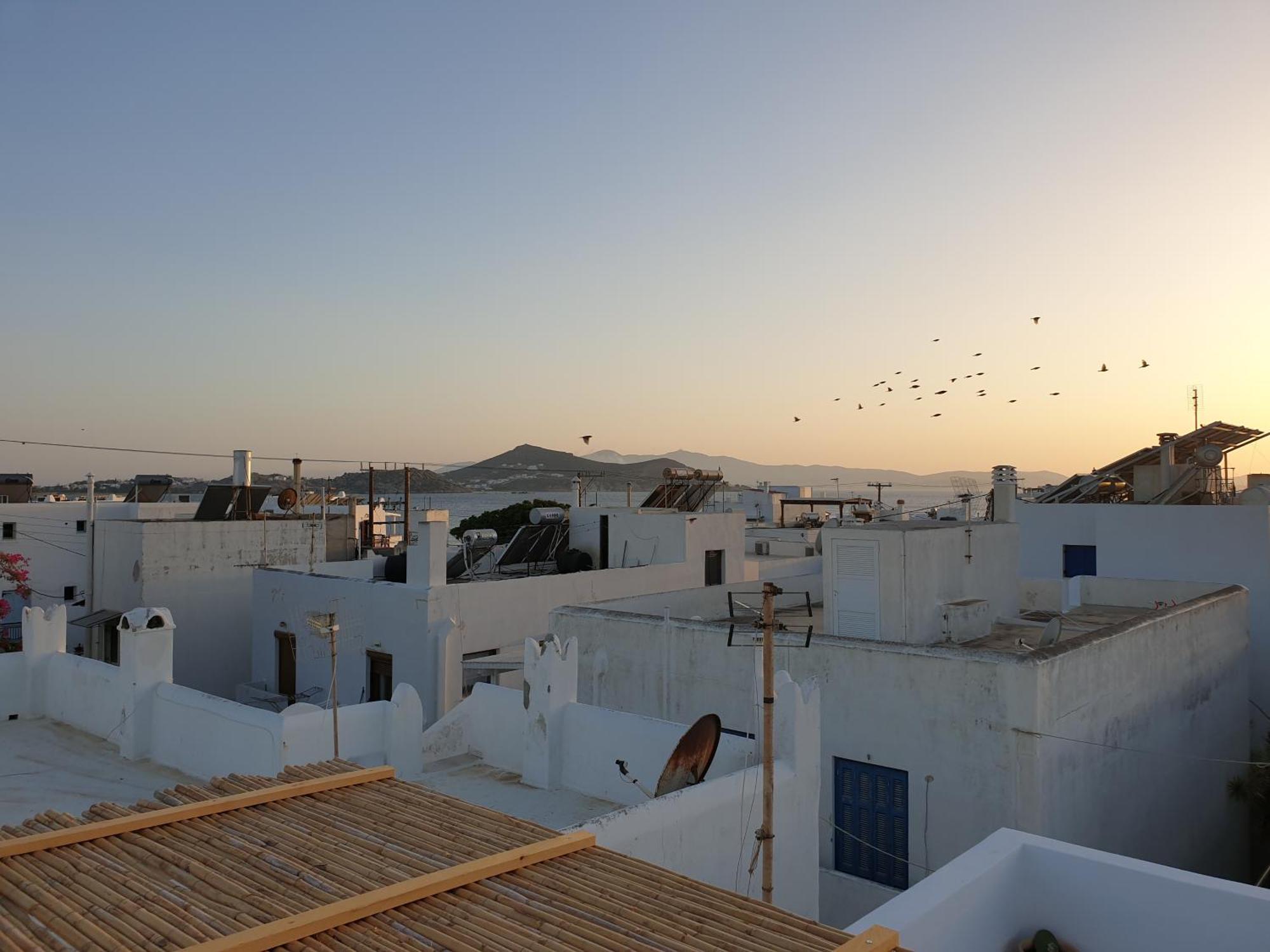My Island Homes And Residence Naxos City Δωμάτιο φωτογραφία